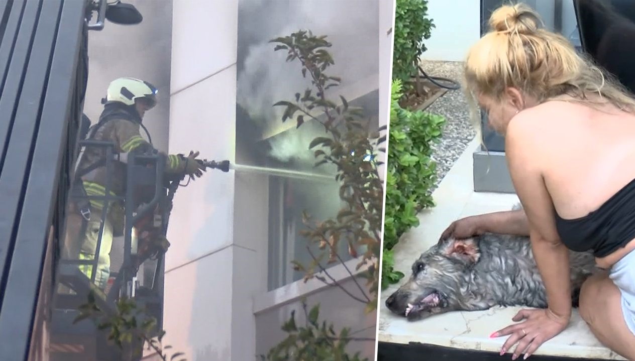 ares kurtarilamadi gozyaslarina boguldu BBjrCawF