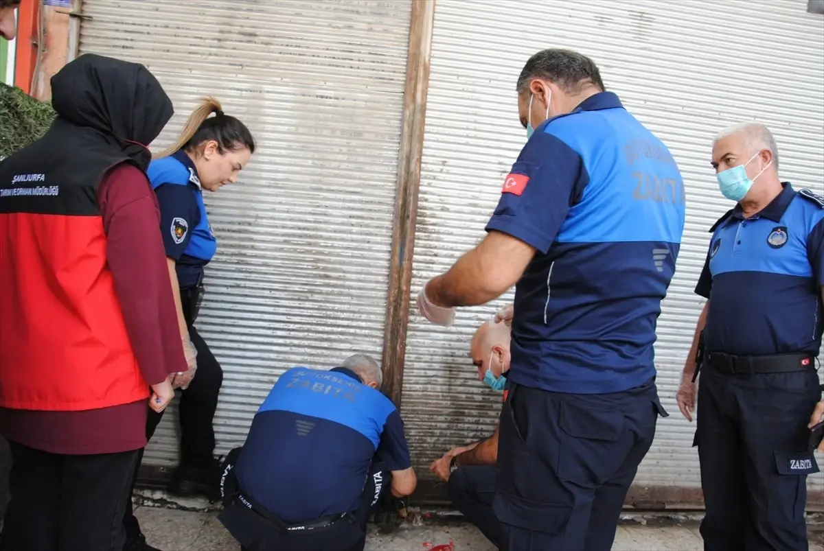 sanliurfada 1 ton bozulmus et ele gecirildi 9yDzwO2b.jpg