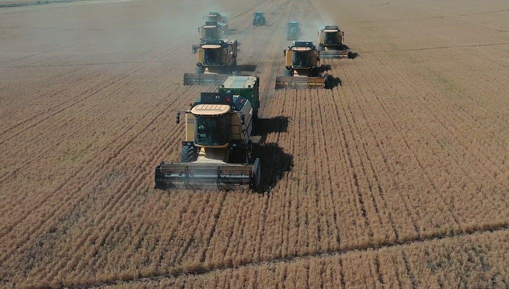 tigem mevsimlik isci alimi basvuru ekrani tarim isletmesi mudurlugu isci alimi kadro dagilimi ve basvuru sartlari f48wIxwk